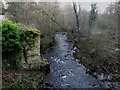 Looking downstream along the Waren Burn at Bradford