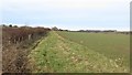 NU1531 : Footpath alongside an arable field by Graham Robson