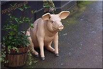 SP3166 : Star & Garter (2) - sculpture of a pig, 4-6 Warwick Street, Royal Leamington Spa by P L Chadwick