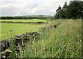 Calderdale Way by Holmfield Industrial Estate