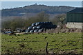 Pettifors Farm near Copt Oak