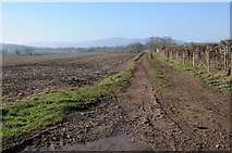 SO8447 : Farmland track near Baynhall by Philip Halling