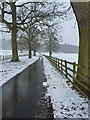 Snow shower on the Burwarton Estate