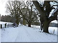 Bridleway on Burwarton estate