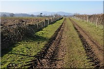 SO8446 : Farm track and Severn Way route by Philip Halling