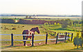 East Yorkshire view, westward from Rudstone Walk Farm, 1992