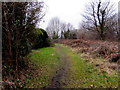 Track WSW from Goppa Road, Pontarddulais