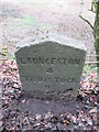 Milestone - Launceston 4