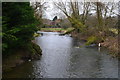 River Avon looking upstream from Haxton Bridge