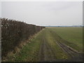 Field boundary near High Common Farm