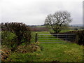 Mullaghbane Townland