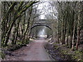 Bridge over Alston Branch Railway near Plenmeller