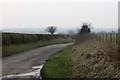 NY2852 : Wiggonby to Down Hall road by Richard Webb