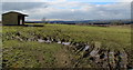 Muddy field in Pontlliw