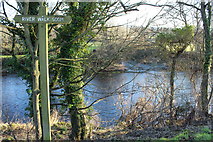 NX0982 : River Stinchar at Ballantrae by Billy McCrorie