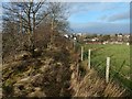 Edge of field at Stoney Brae