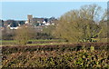 View north towards Ratby