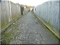 Path between Castleton Avenue and Downbank Avenue