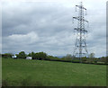 Grazing and pylon