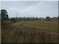 Farmland south of Evedon