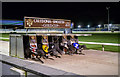 Greyhound racing, Drumbo Park near Lisburn