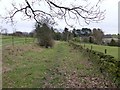 Footpath near Brook Bottom