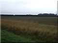 Farmland off the Asgarby road