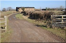 SO8446 : Severn Way approaching Clifton by Philip Halling