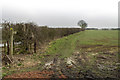 Public footpath off Old Main Road