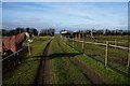 Path leading to East Hann Lane