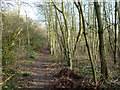 Footpath used by the Essex Way