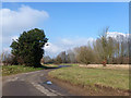 Sinuous lane north of Perry Green