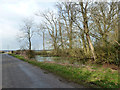 Pond by the lane