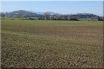 SO8445 : Arable land at Clifton by Philip Halling