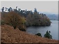 NY3917 : Bay on the eastern shore of Ullswater by Graham Robson