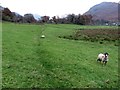 NY3916 : Footpath crossing a grass field, Patterdale by Graham Robson
