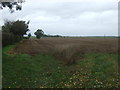 Farmland and hedgerow, Star Fen