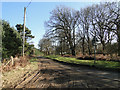 Ashburton Road starts to get a bit muddy