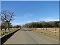 Road on the edge of STANTA