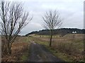 Bridleway leading from Blakedown to Stakenbridge