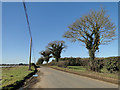 Road near to Thorpe Camp