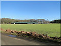 Winter barley and poultry houses