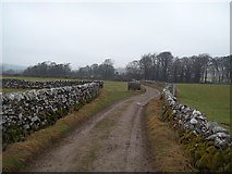 SK1360 : Track Approaching Hartington Hall by Jonathan Clitheroe