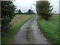 Minor road towards The Smallholding, Fenside