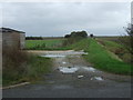 Farm track (footpath), Heckington Fen