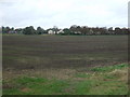 Flat farmland towards South Kyme