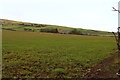 Farmland at Genoch Farm