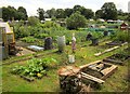 Allotments, Bilton