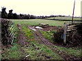 A muddy field, Annaghsallagh