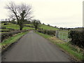 H7449 : Killynaul Road, Tannaghlane by Kenneth  Allen